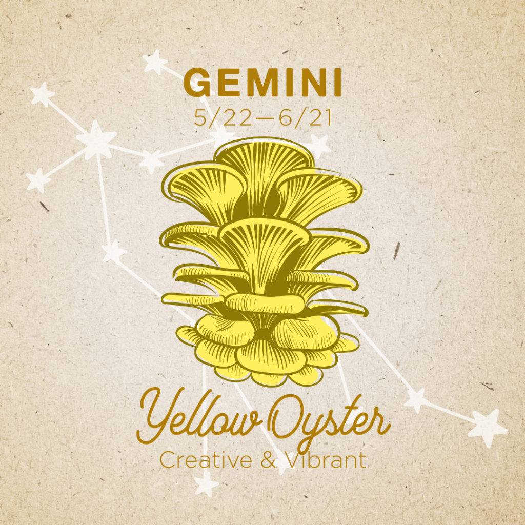 Gemini