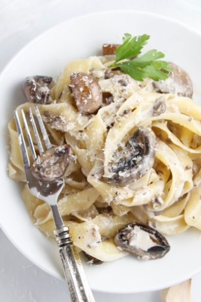 Pasta With Creamy Mushroom Sauce