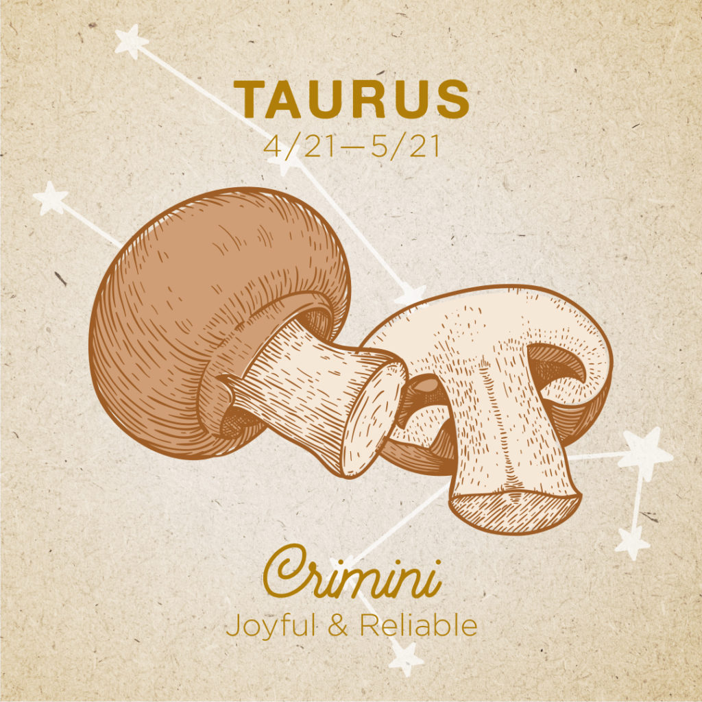 Taurus