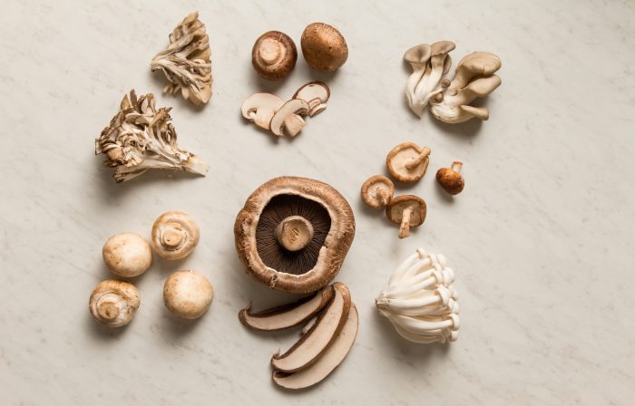 Fresh mushroom varieties