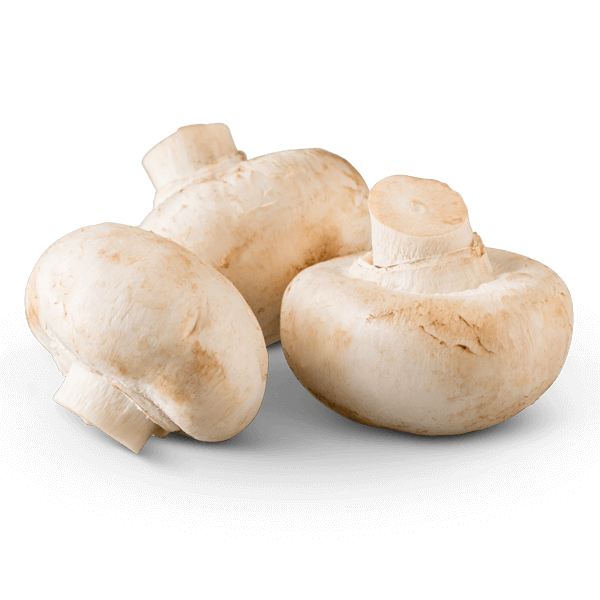 White button mushrooms